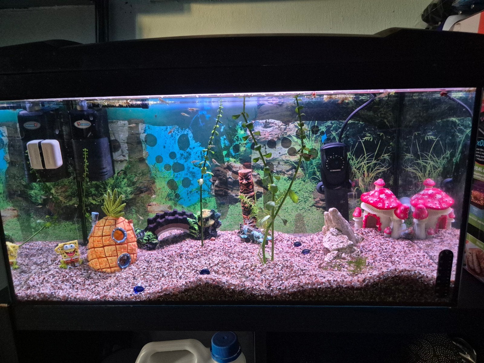 60l aquarium, Animaux & Accessoires, Poissons | Aquariums & Accessoires, Enlèvement, Superfish