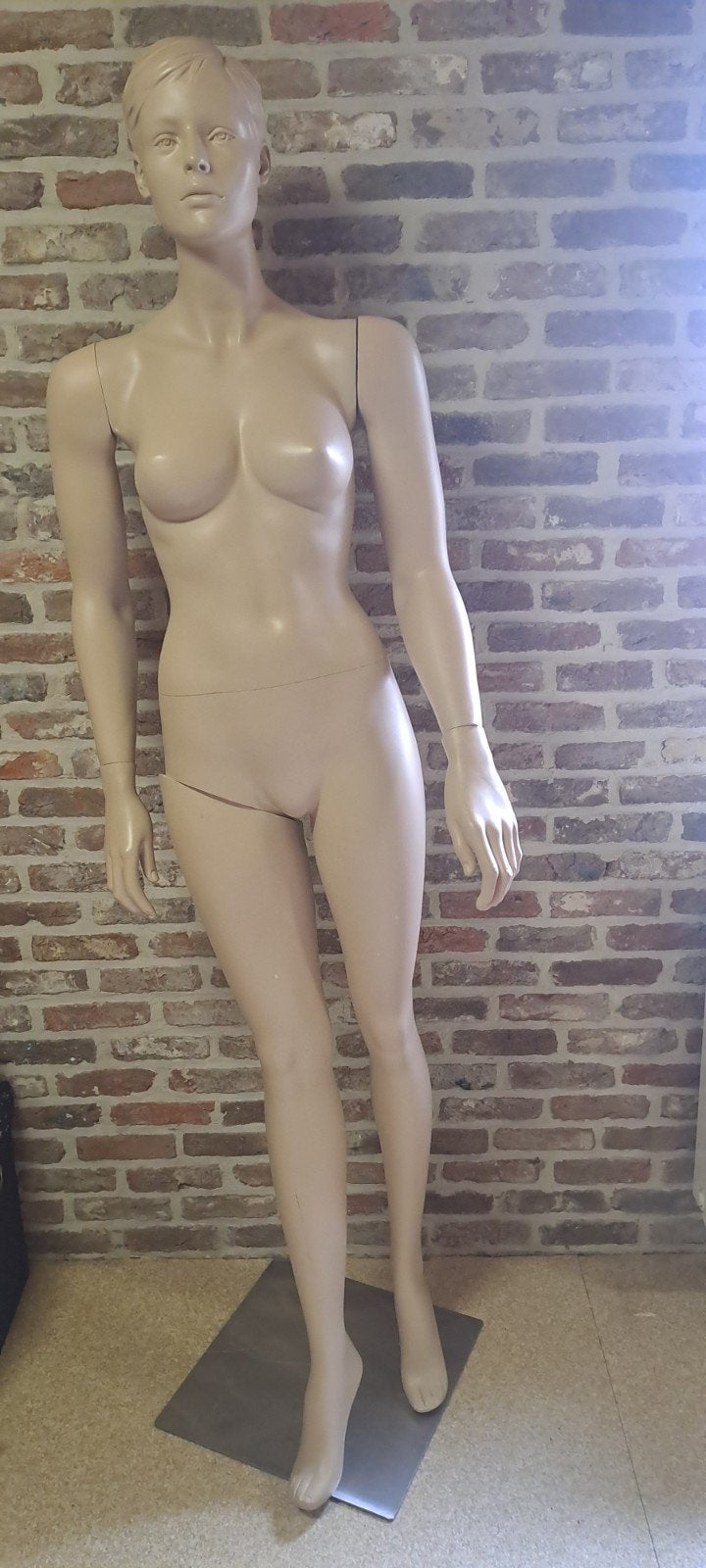 Damesetalagepop / mannequin / paspop te koop, Enlèvement