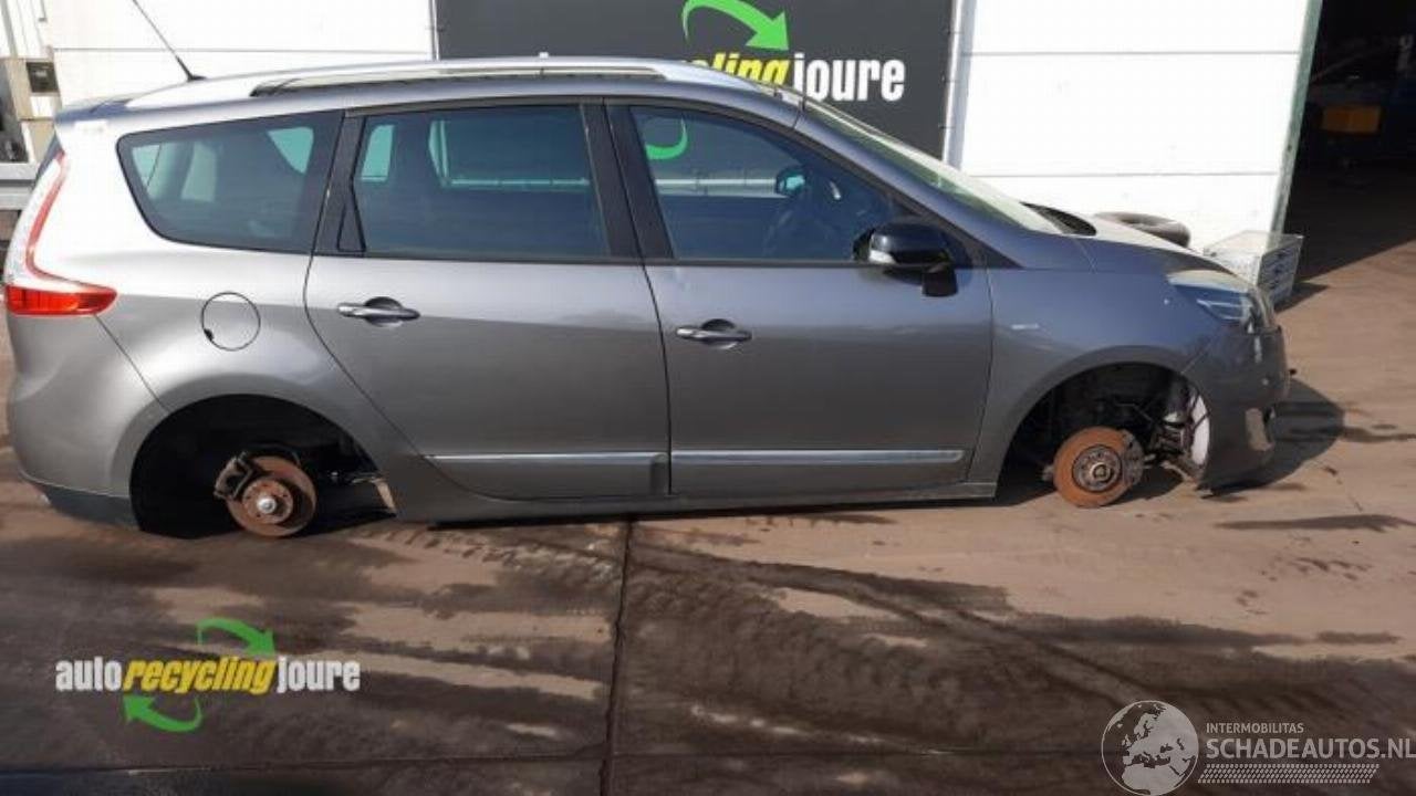 Renault Grand-scenic Grand Scenic III (JZ), MPV, 2009 / 2016, Renault Deutschland AG, Dialog.deutschland@renault.de, Peter-Huppertz-Straße 5 ,51063, Köln, Deutschland