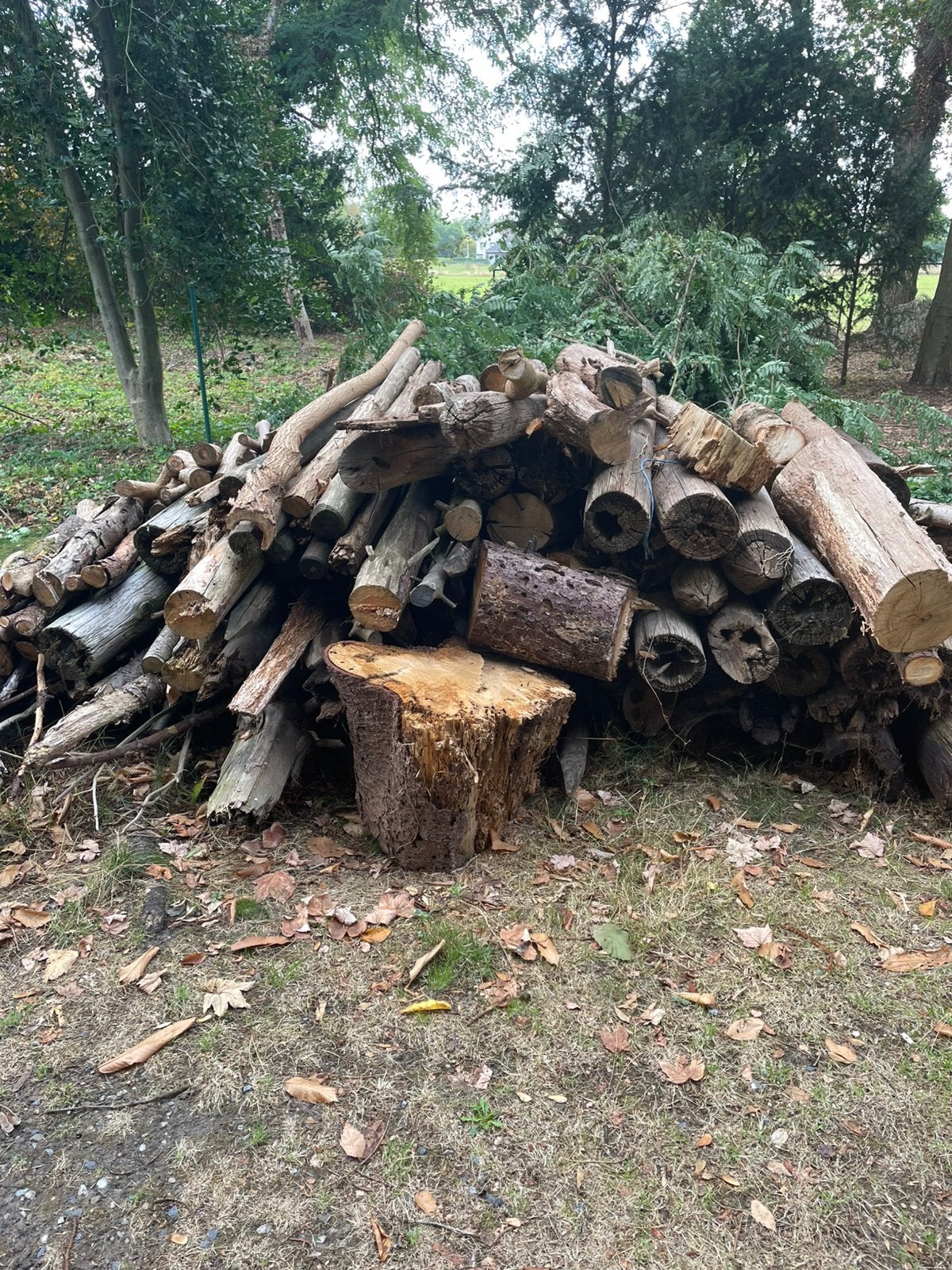 Hout voor kachel gratis, Tuin en Terras, Brandhout, Ophalen