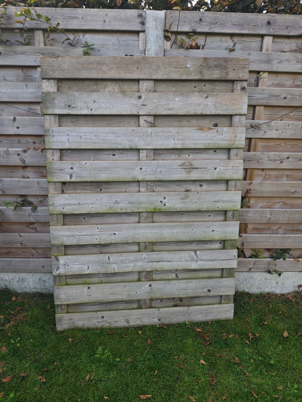Houten paneel 127x170 2 stuks, Tuin en Terras, Ophalen