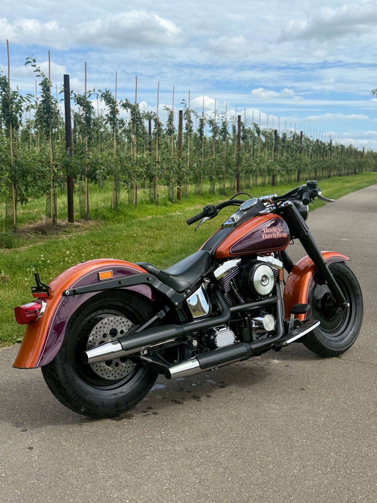 Harley davidson evo softail, Particulier