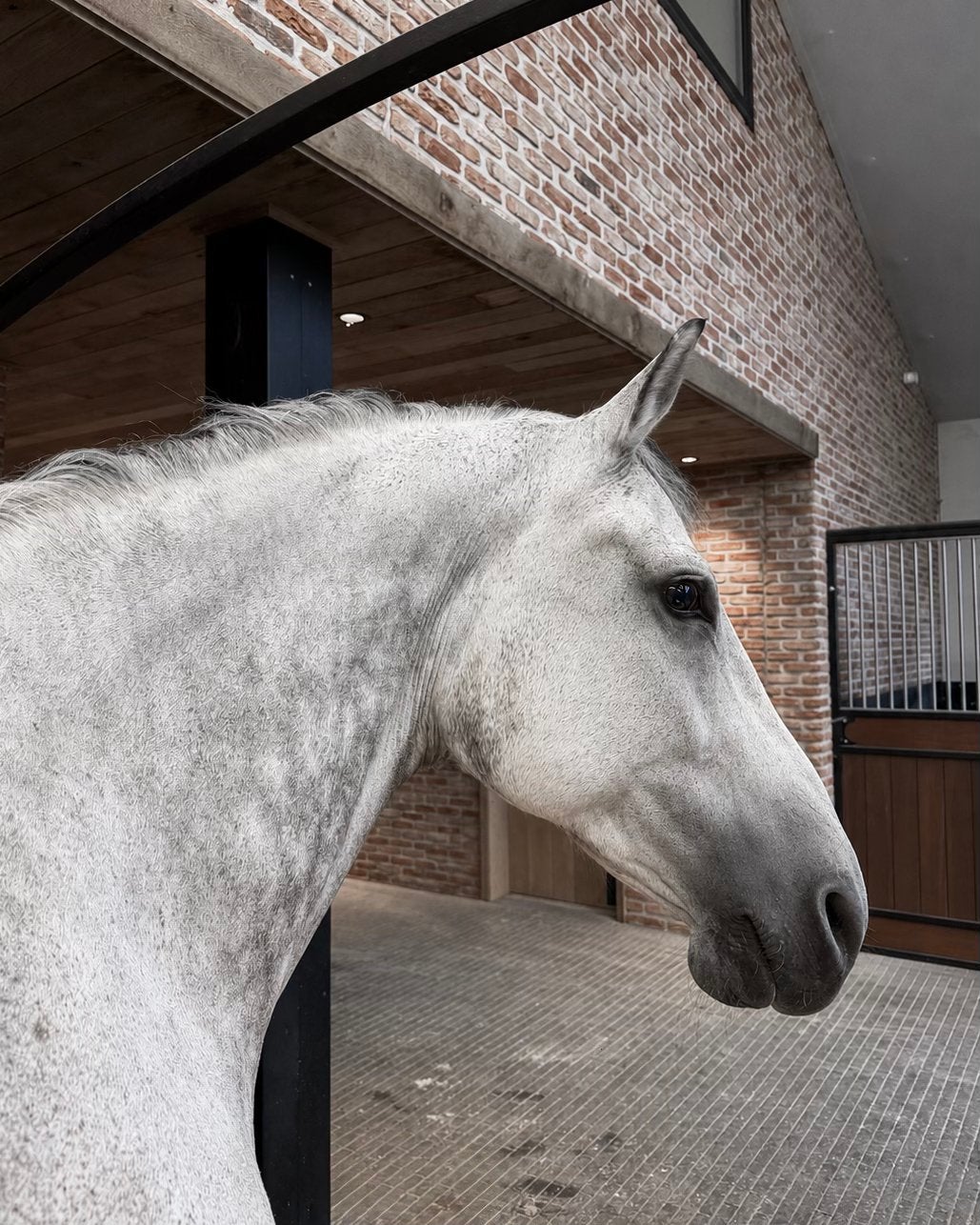 Scheren van paarden en pony’s, Dieren en Toebehoren, Ophalen