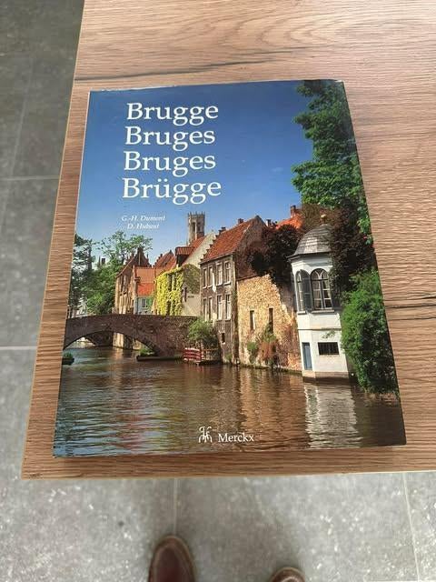 Bruges, maison d'édition Paul Merkx, Bruges, Livres, Enlèvement ou Envoi, Neuf, Architecture général, Georges Henri Dumont