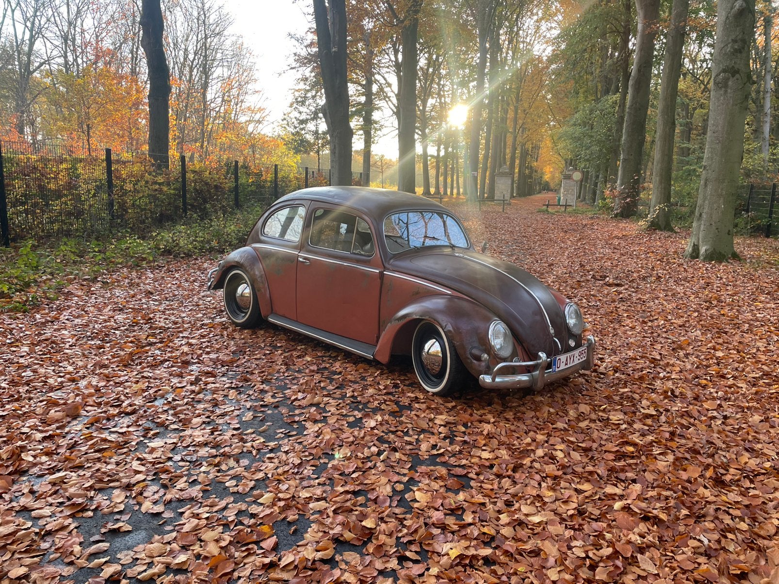 Vw kever Ovaal 1956–Amerikaanse uitvoering–Prachtige patina, foto 5