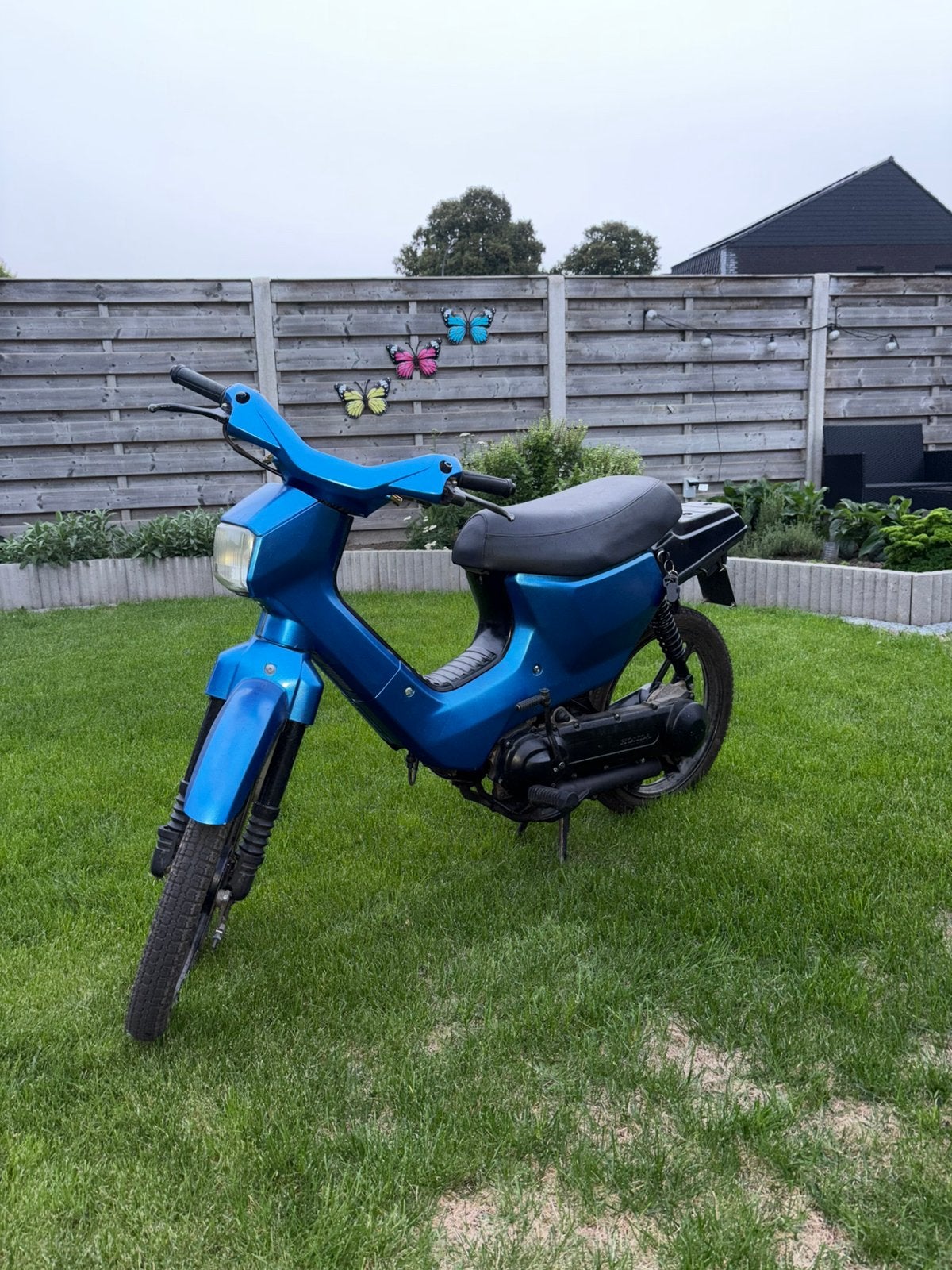 Honda wallaroo b klasse, Fietsen en Brommers, Ophalen, Zo goed als nieuw, Klasse B (45 km/u)