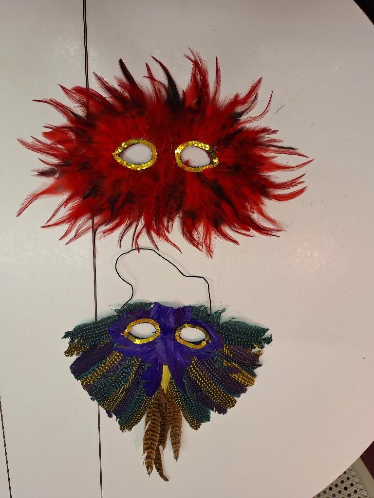 2 carnaval maskers met pluimen, Huis en Inrichting, Ophalen of Verzenden, Nieuw