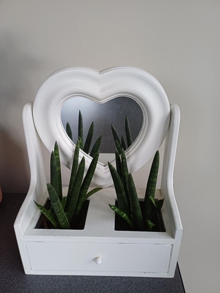 Spiegel in hart met plantjes, Ophalen, Minder dan 50 cm, Zo goed als nieuw, Minder dan 100 cm