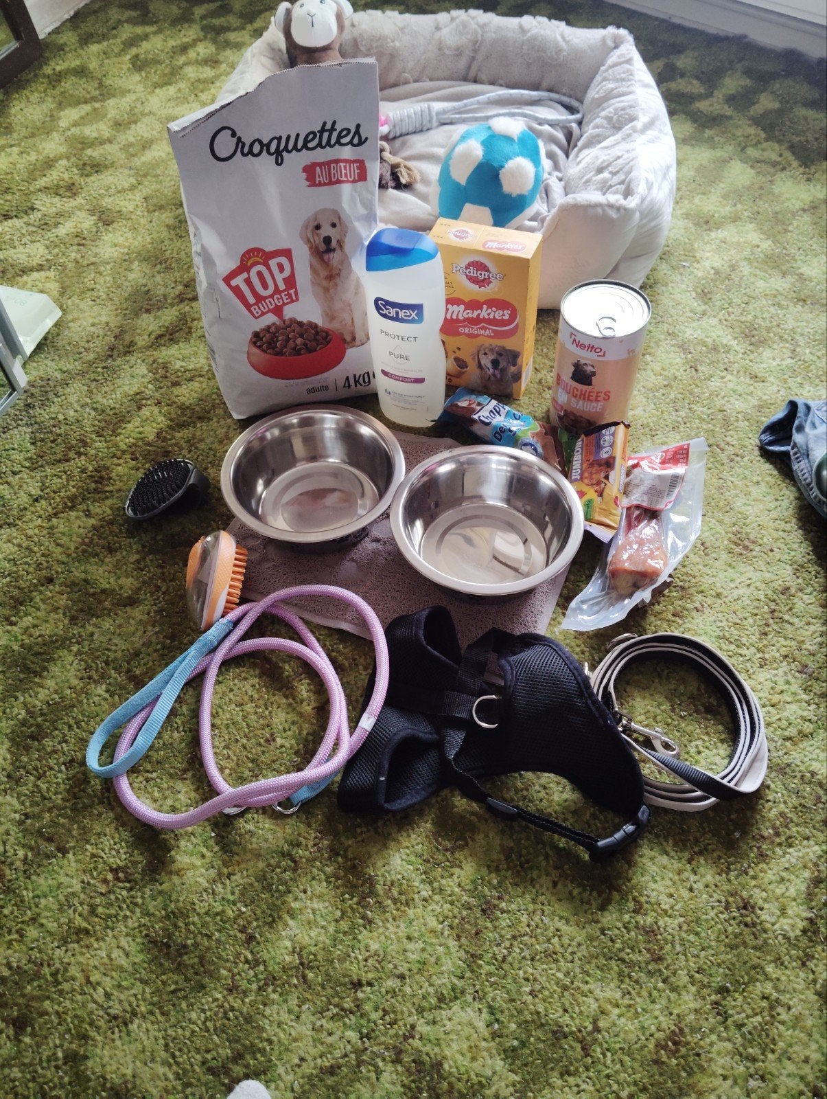 Accessoires pour chien, Animaux & Accessoires, Accessoires pour chiens, Enlèvement
