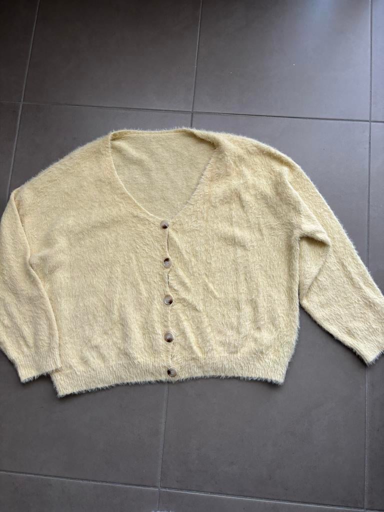 Gele gilet maat 46, Kleding | Dames, Ophalen of Verzenden, Zo goed als nieuw, Geel, Trui of Vest