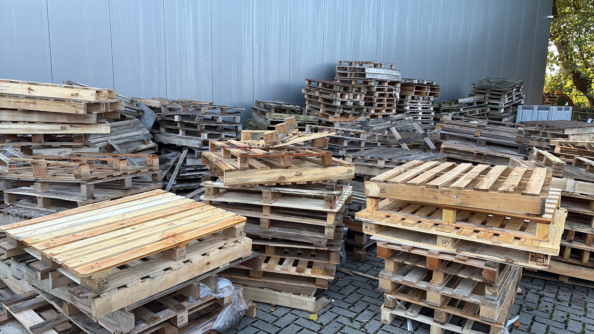 Gratis paletten regio Holsbeek, Enlèvement, Utilisé