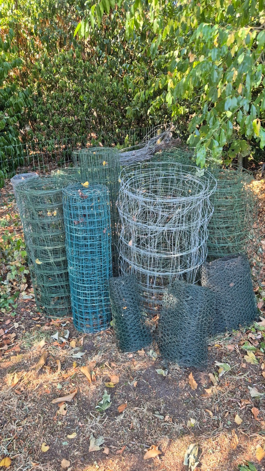 div rollen gaas, Tuin en Terras, Ophalen, Zo goed als nieuw, 20 meter of meer, Gaas