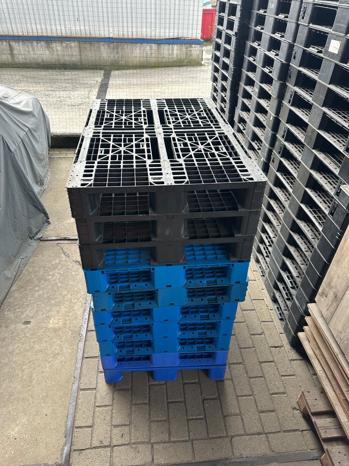 Plastic/kunststof pallets, Ophalen, Gebruikt, 100 cm of meer, 60 cm of meer
