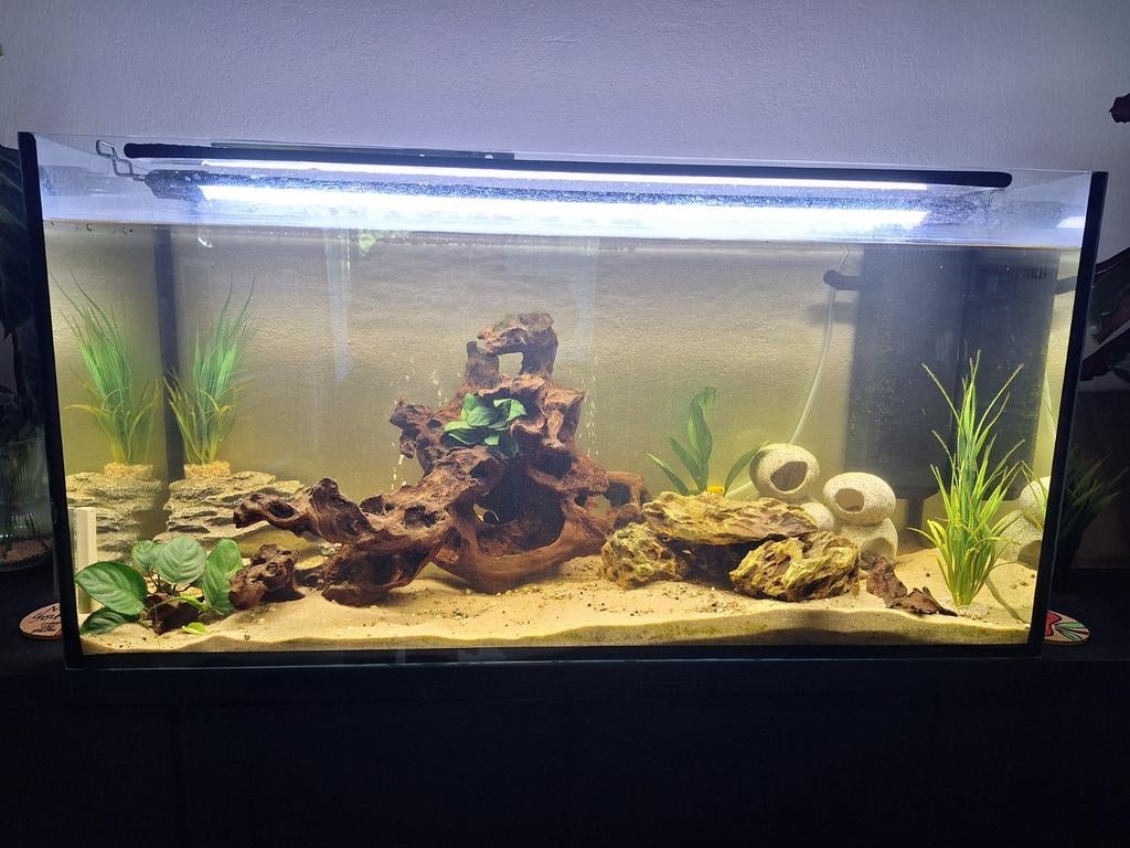 Aquarium 200 litres complet, Dieren en Toebehoren, Vissen | Aquaria en Toebehoren, Pomp, Sera, Ophalen