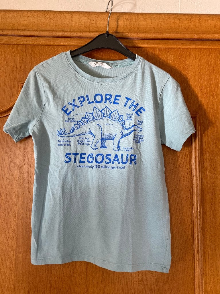 Groen t-shirt met dinosaurus, H&M, maat 134-140, Enfants & Bébés, Vêtements enfant | Taille 134, Garçon, Enlèvement ou Envoi, Chemise ou À manches longues