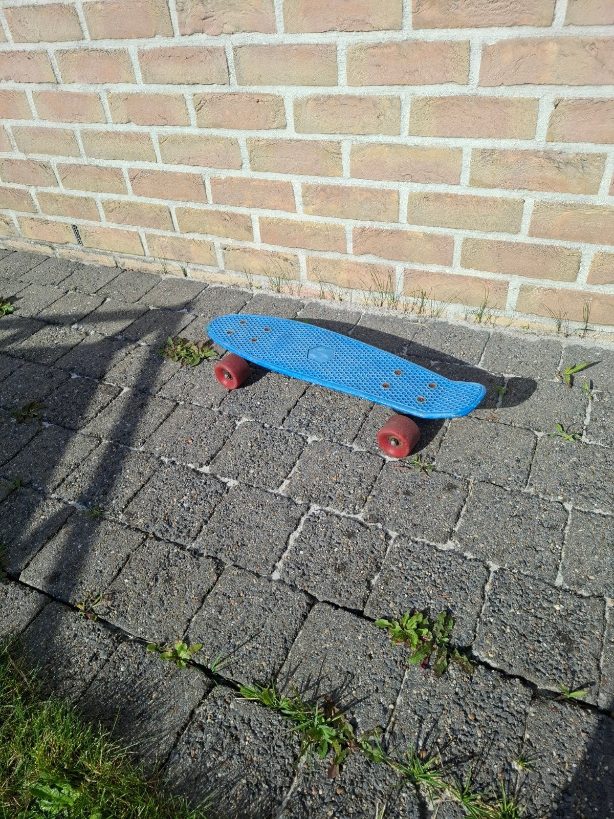 Planche Blue Penny, Enlèvement, Neuf