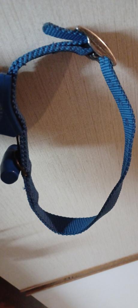 Collier avec laisse intégré dans le Collier M, Ophalen