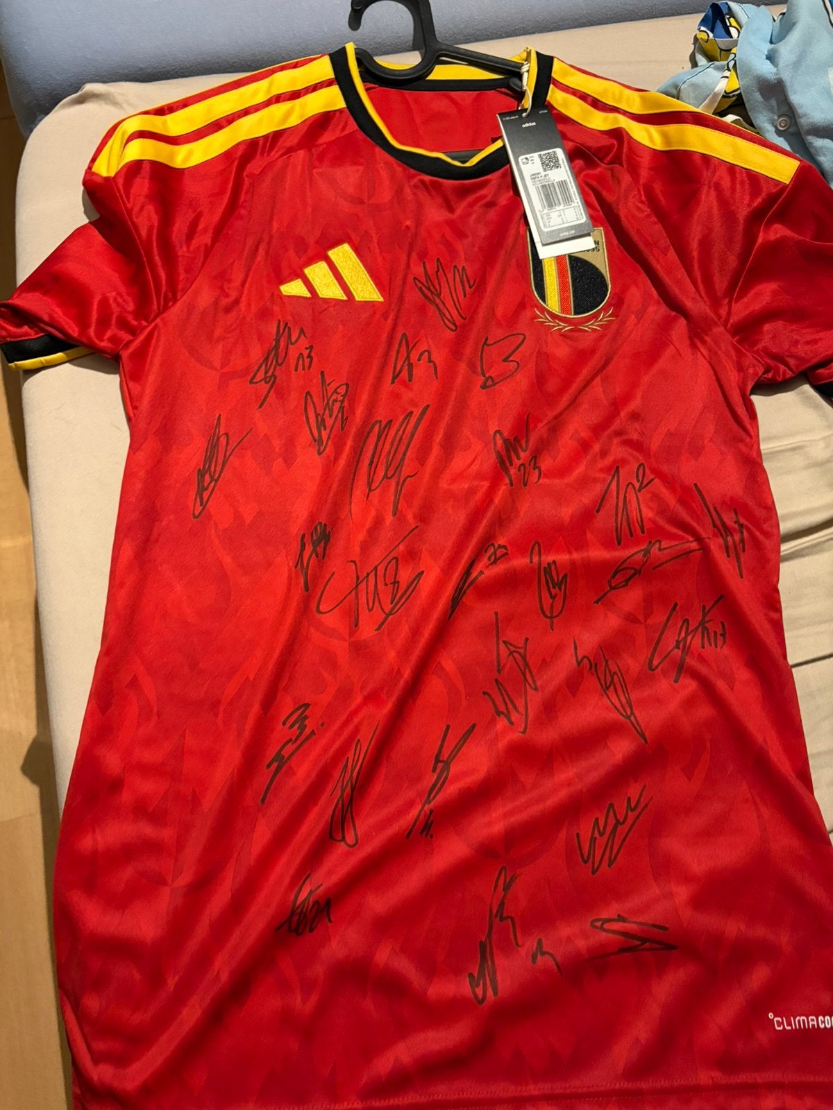 Gesigneerd truitje rode duivels wk 2026, Enlèvement, Comme neuf