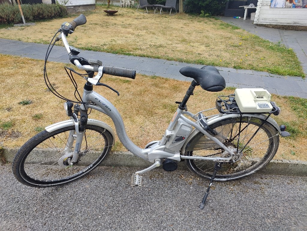 Elektrische fiets Flyer met lage instap, Fietsen en Brommers, Elektrische fietsen, Ophalen, Gebruikt