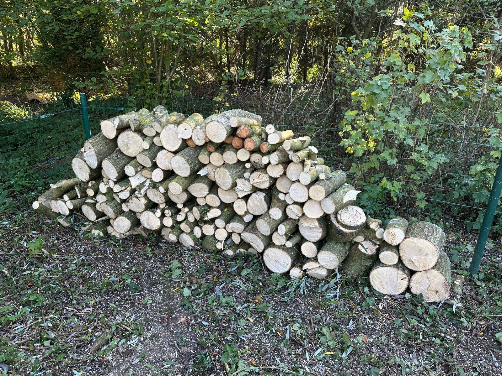 Bois de saule a vendre, Minder dan 3 m³, Ophalen, Overige houtsoorten, Blokken