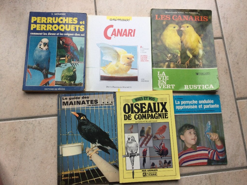 SET BOEKEN: „PET BIRDS”, Ophalen of Verzenden, HUARD/THIEBES/BATES/DE FONSECA/MENASSE..