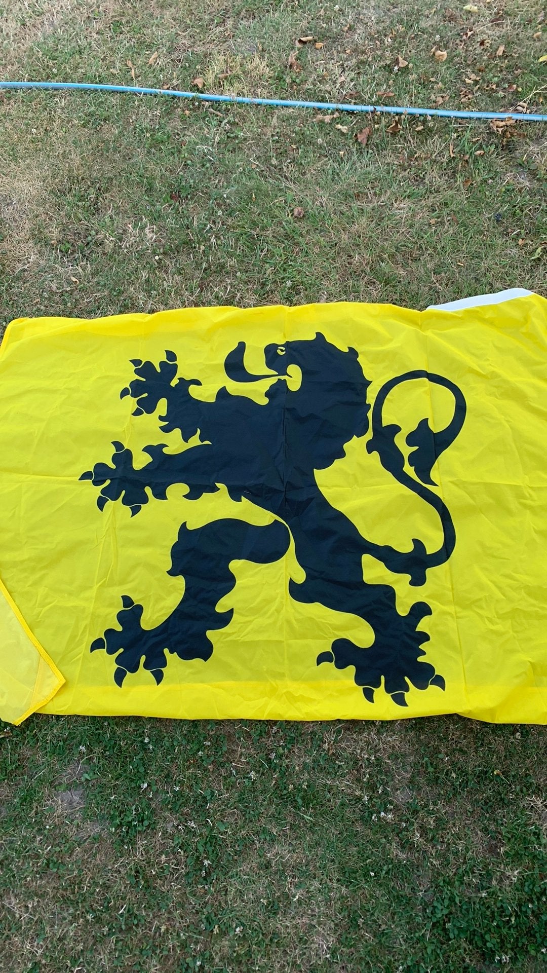 Vlaamse leeuw vlag, Ophalen, Zo goed als nieuw