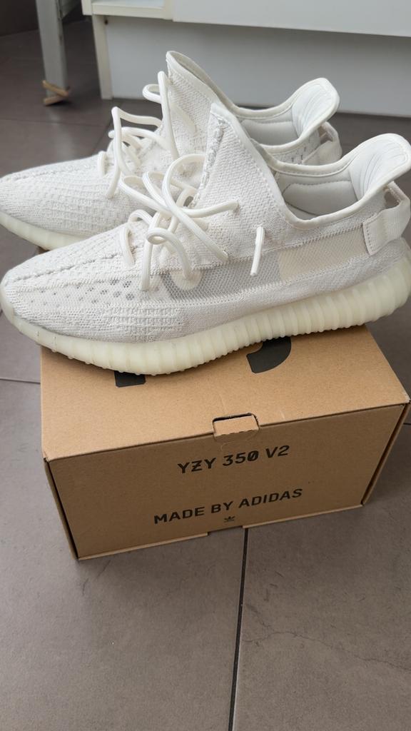 Yeezy 350 v2 Bone, Kleding | Heren, Ophalen of Verzenden, Zo goed als nieuw