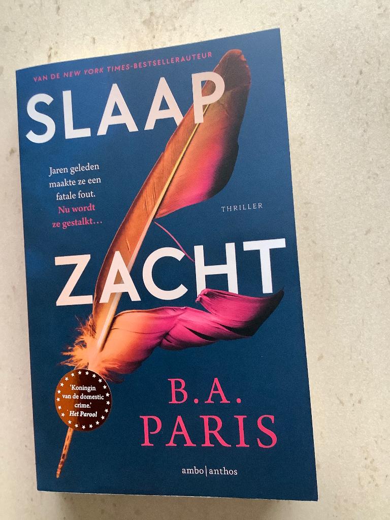 Boek : Slaap zacht, Boeken, Ophalen of Verzenden, Zo goed als nieuw, B.A. Paris