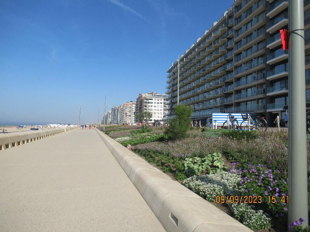 Te huur vakantiestudio aan zee, Vakantie, Vakantiehuizen | België, Antwerpen of Vlaanderen, Appartement, Overige, Aan zee, 1 slaapkamer