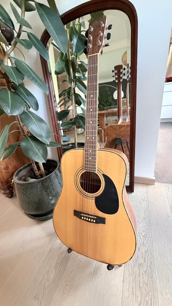 Guitare Cort AD880 + housse, Muziek en Instrumenten, Snaarinstrumenten | Gitaren | Akoestisch, Ophalen, Zo goed als nieuw