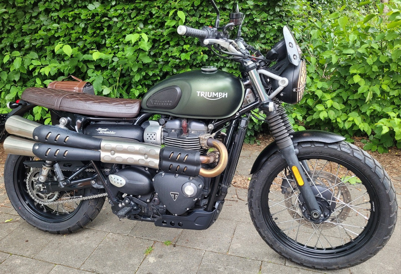Triumph Street Scrambler 900, Motos, Permis Moto A, Occasion, Plus de 35 kW, 2 cylindres