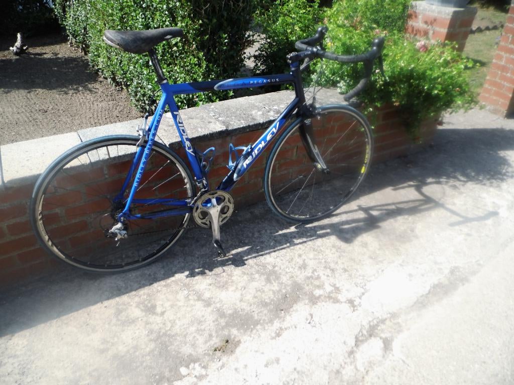 Vélo de course Ridley Pegasus 18 vit , tres bon état, Vélos & Vélomoteurs, Vélos | Vélos de course, Utilisé, Autres marques, 15 à 20 vitesses