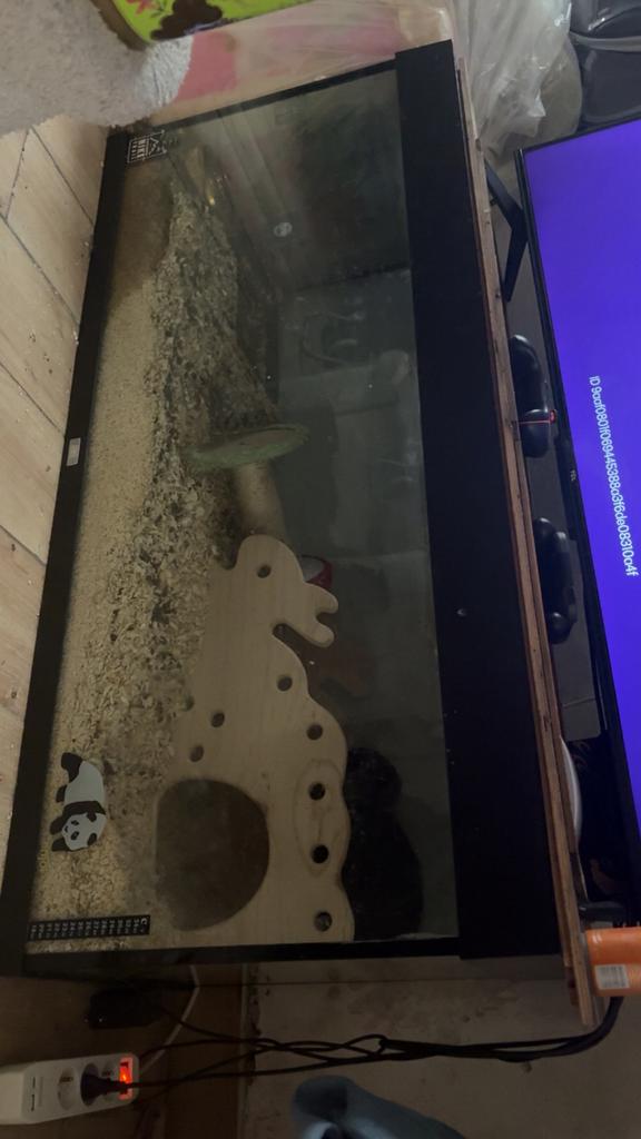 Terrarium 1m20, Dieren en Toebehoren, Met terrarium
