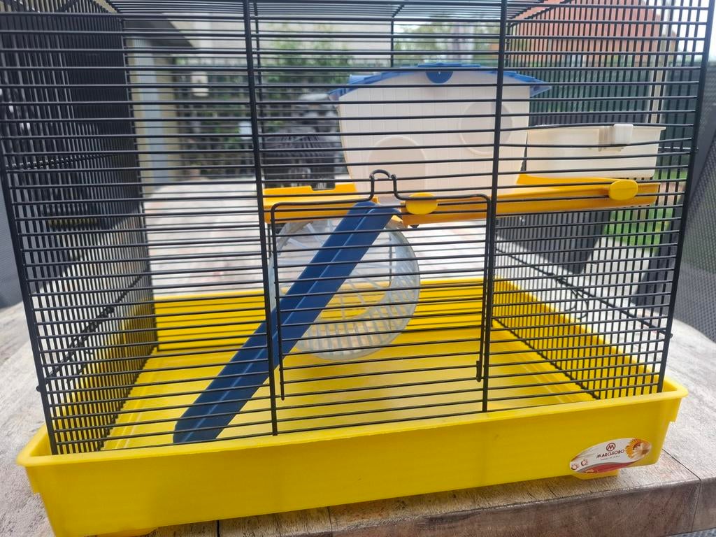 Dwerg hamster kooi, Ophalen, Kooi, Hamster