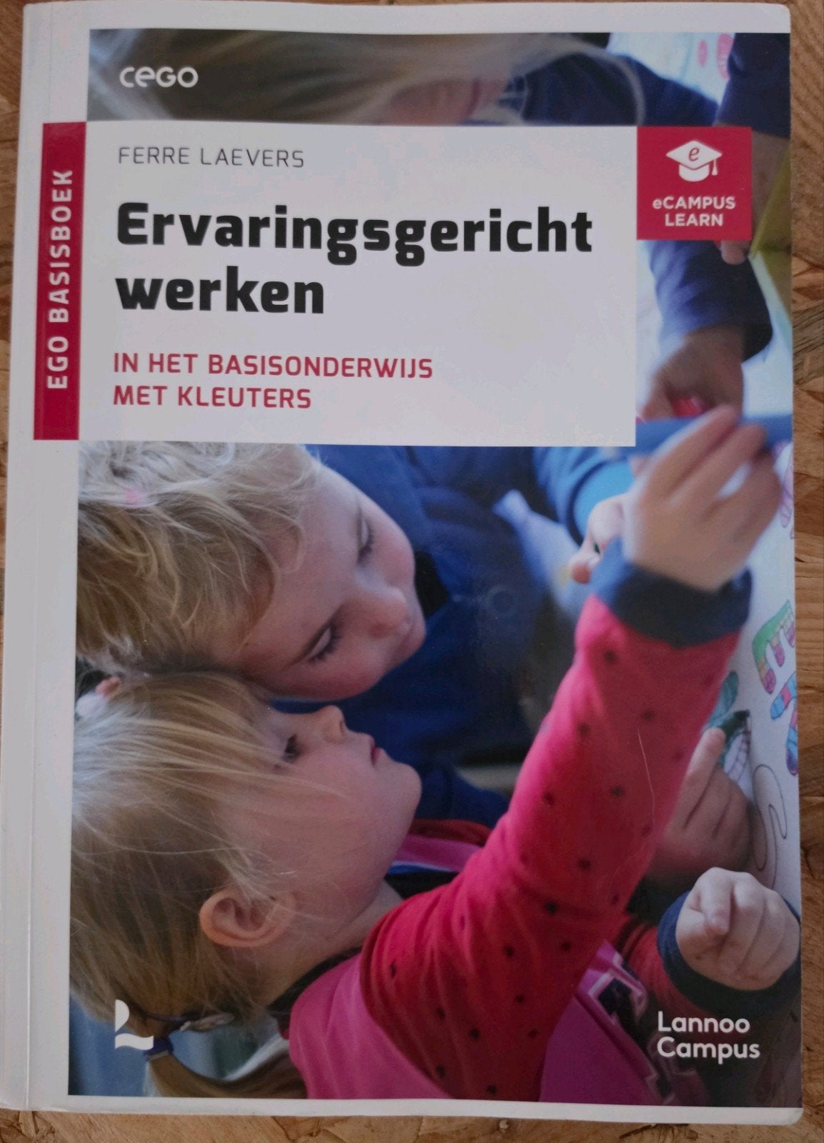 Ervaringsgericht werken in het basisonderwijs met kleuters, Boeken, Ophalen of Verzenden, Zo goed als nieuw