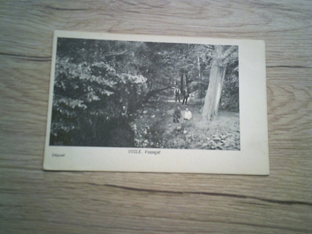 UCCLE - UKKEL: Vossegat, Collections, Cartes postales | Belgique, Enlèvement ou Envoi, Avant 1920, Non affranchie, Bruxelles (Capitale)