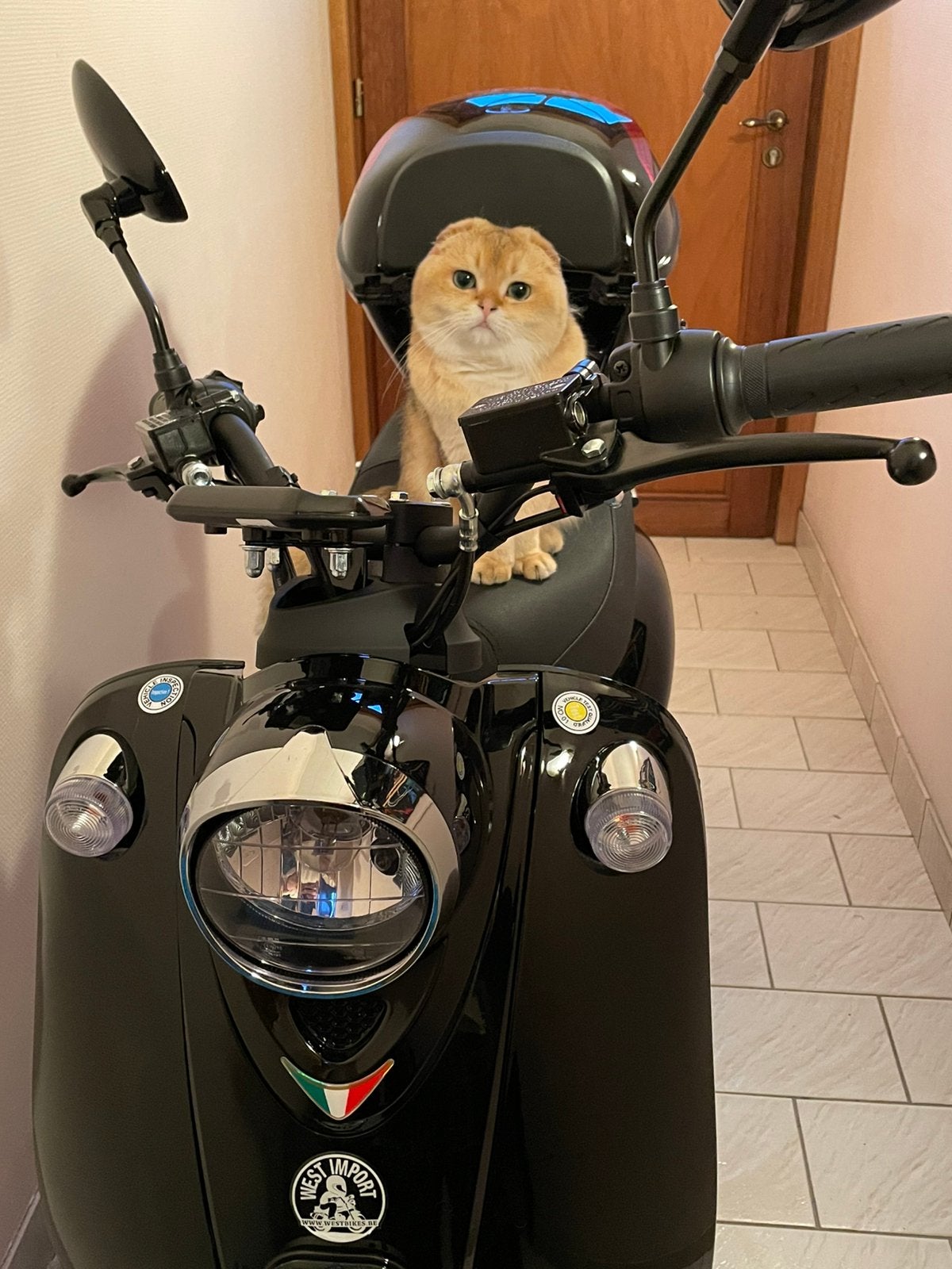 Electrische Scooter met slechts 25!!km. NIEUWSTAAT!!, Fietsen en Brommers, Ophalen, Overige modellen, Elektrisch, Nieuw