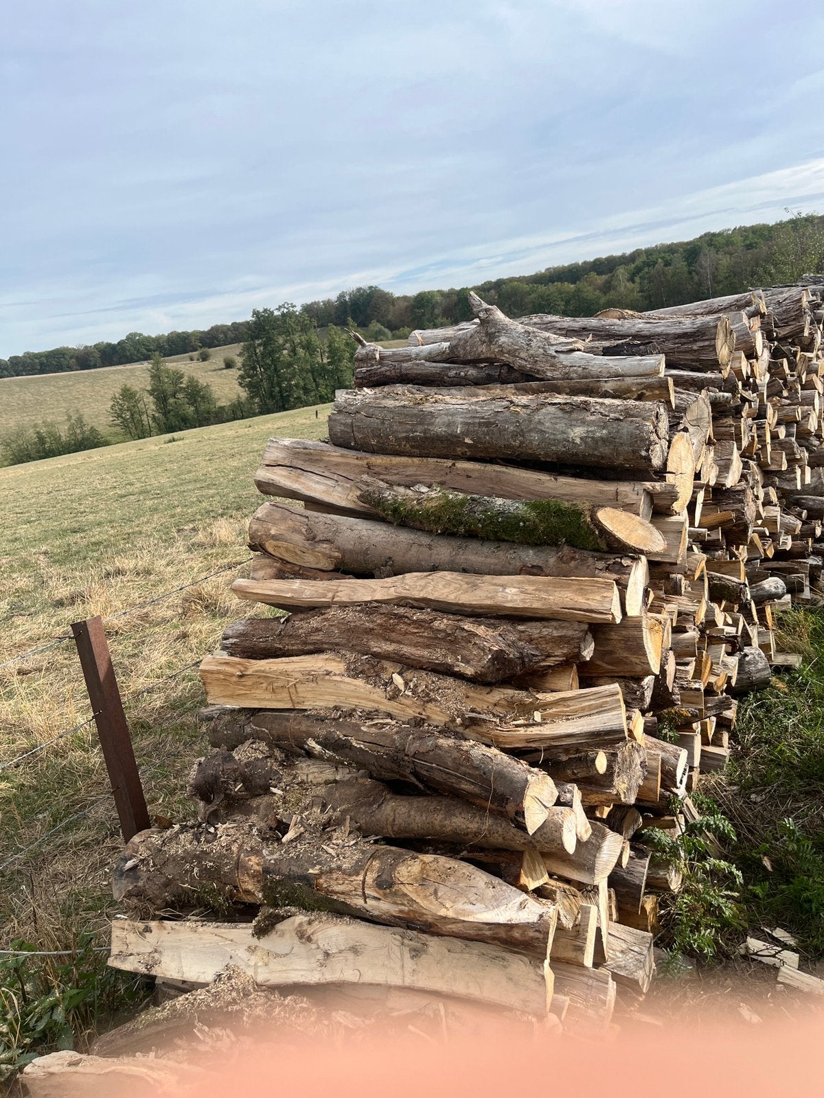 Bois de chauffage sec, Jardin & Terrasse, Enlèvement ou Envoi