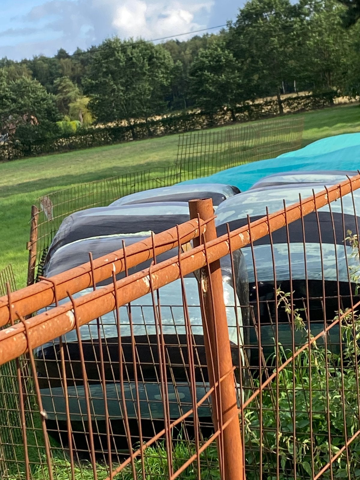 Grote pakken hooi, 4 chevaux ou poneys ou plus