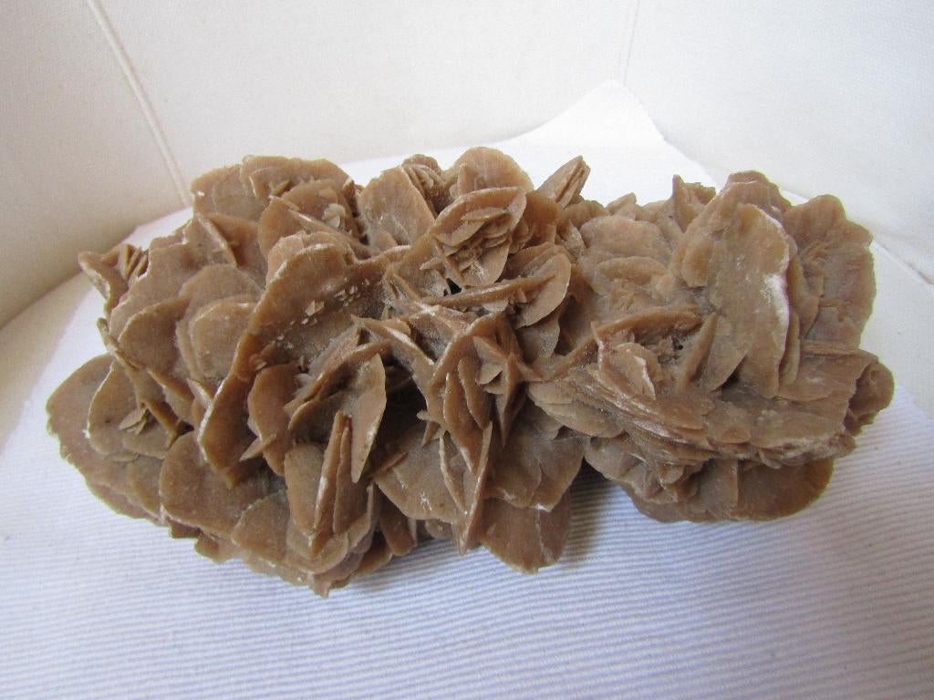 Schitterende gefossiliseerde „Sand Rose” van 2,6 kg, Verzamelen, Ophalen of Verzenden, Fossiel