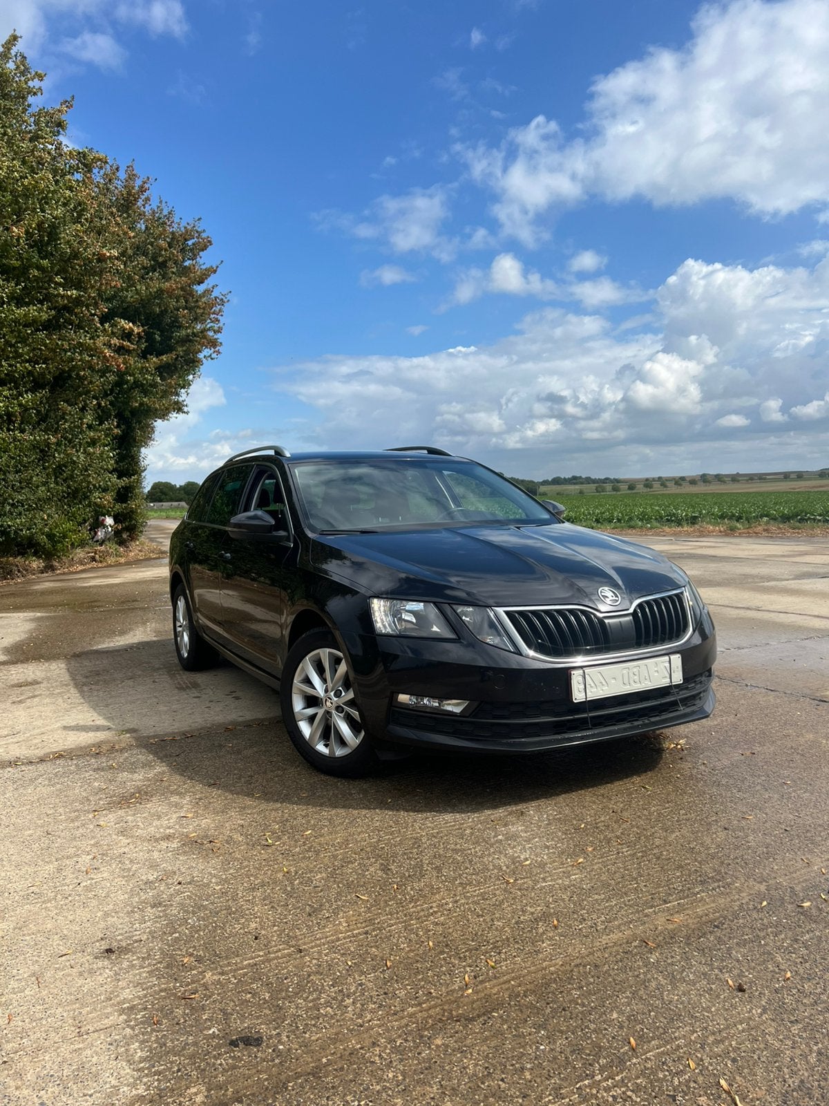 SKODA OCTAVIA 1,0 TSI Essence 85 kW (115 PK) AUTOMAT, Achat, Euro 6, Automatique, Particulier