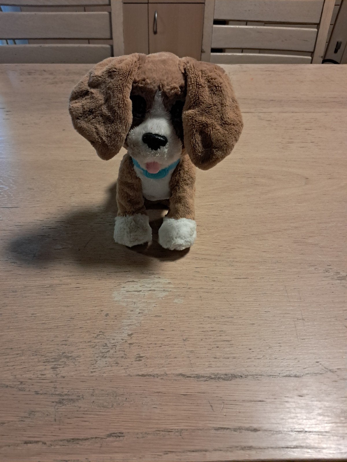 ForReal pratende hond, Ophalen