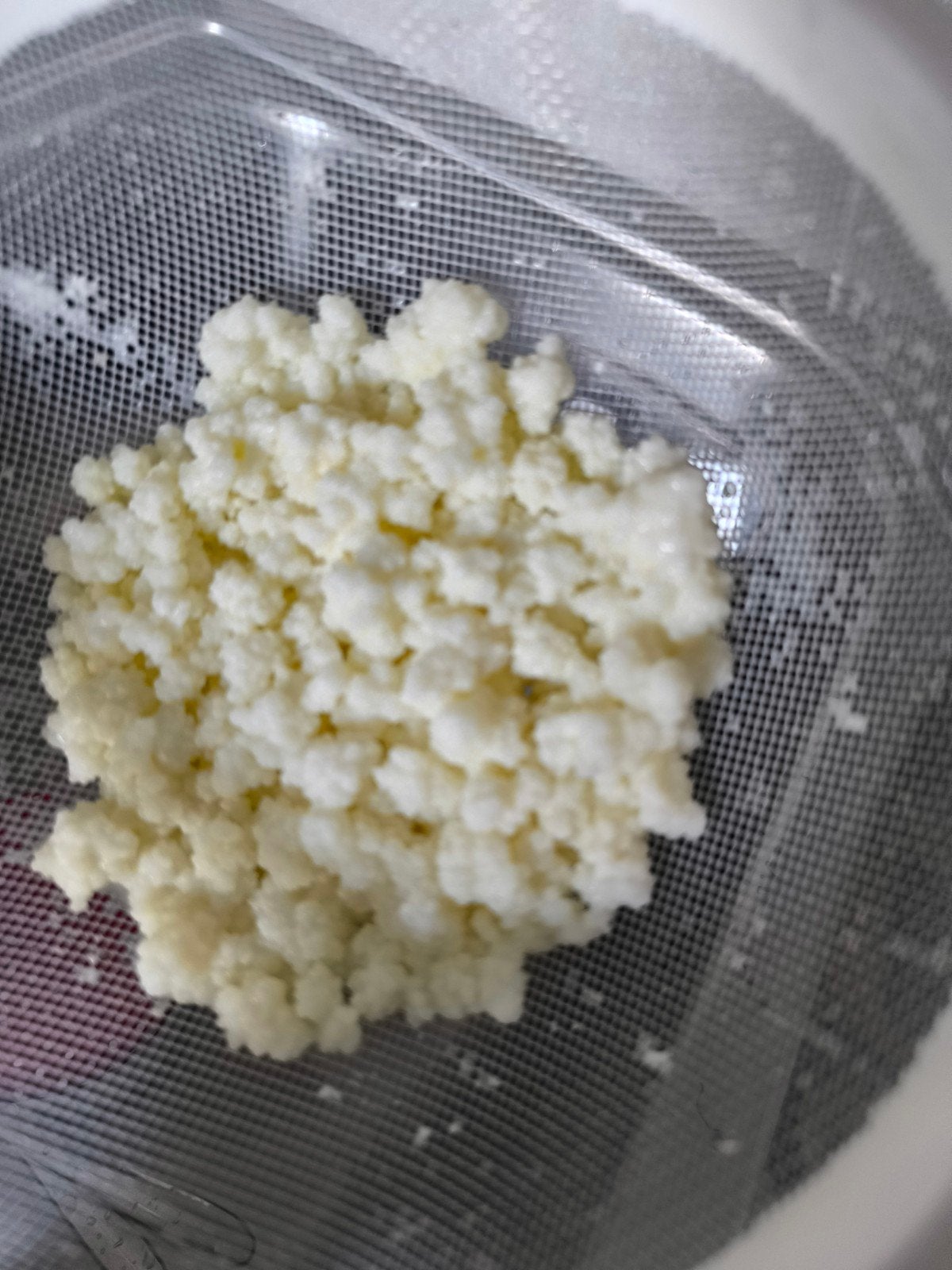 melk kefir, Divers, Enlèvement