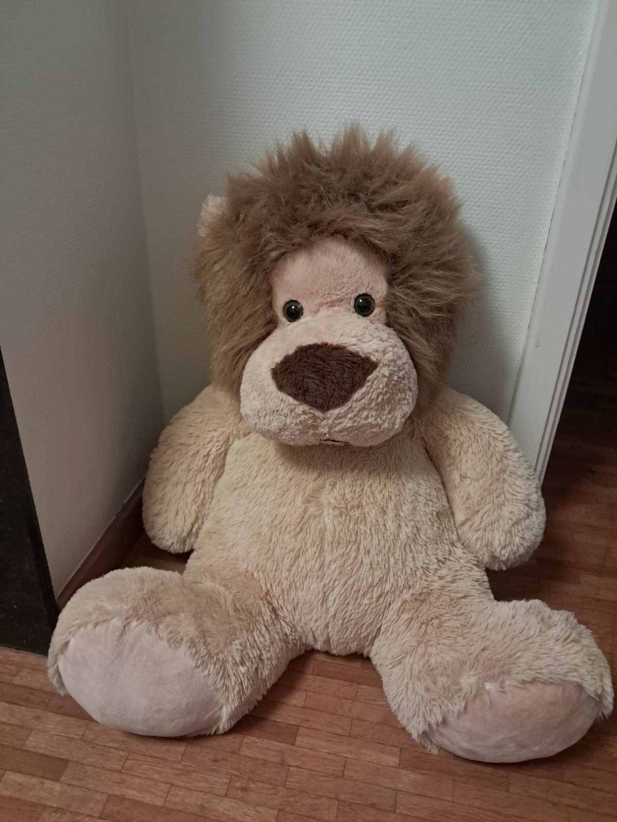 middel grote knuffel leeuw, Ophalen