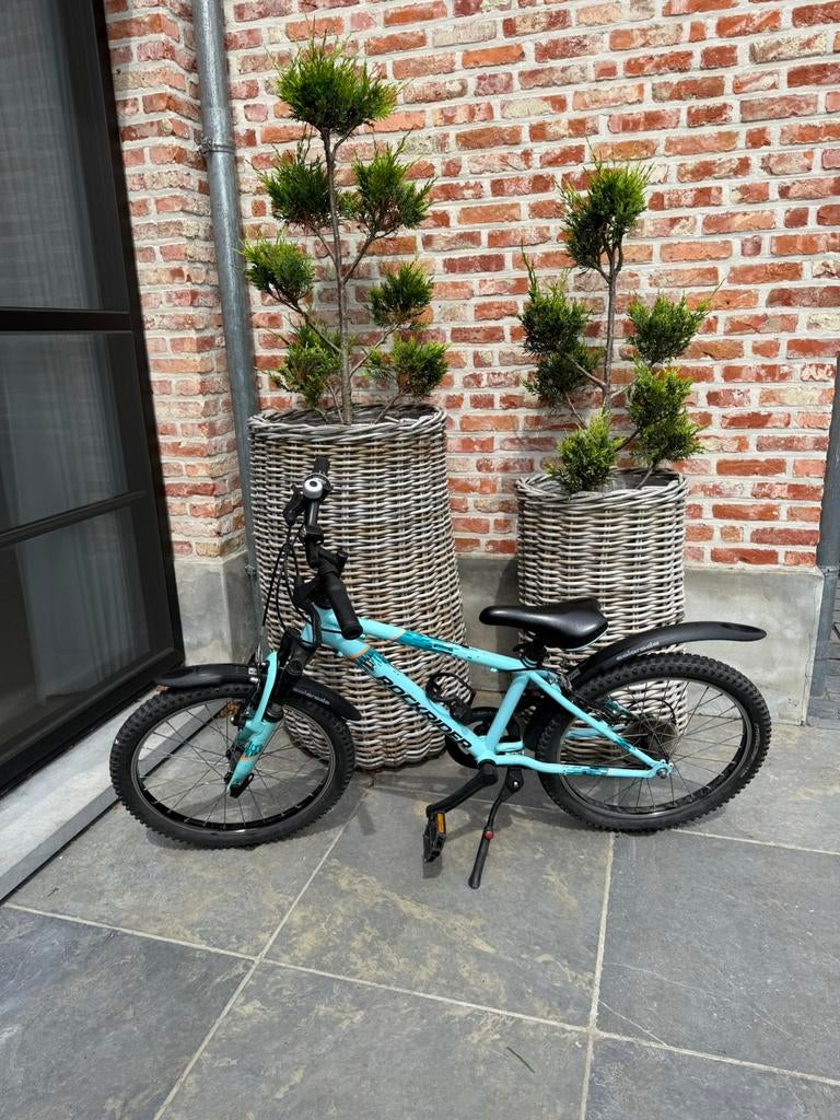 Mountainbike rockrider 20 inch, Fietsen en Brommers, Ophalen, Zo goed als nieuw, 20 inch, Versnellingen