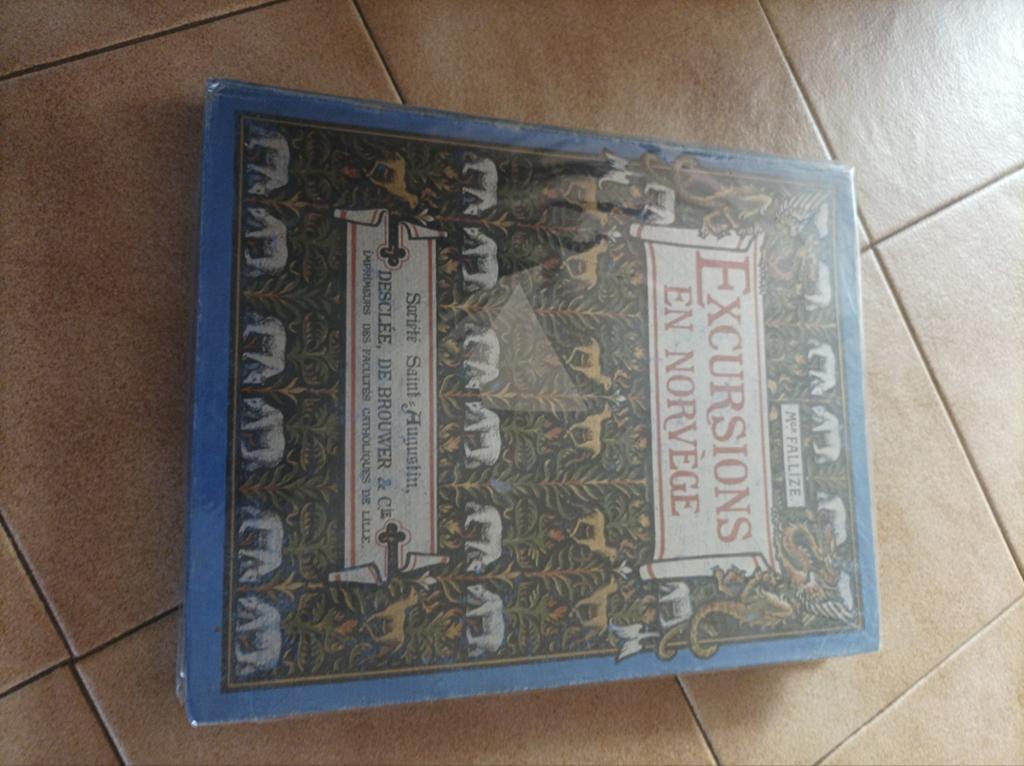 Excursion en Norvège, Livres, Art & Culture | Architecture, Enlèvement ou Envoi