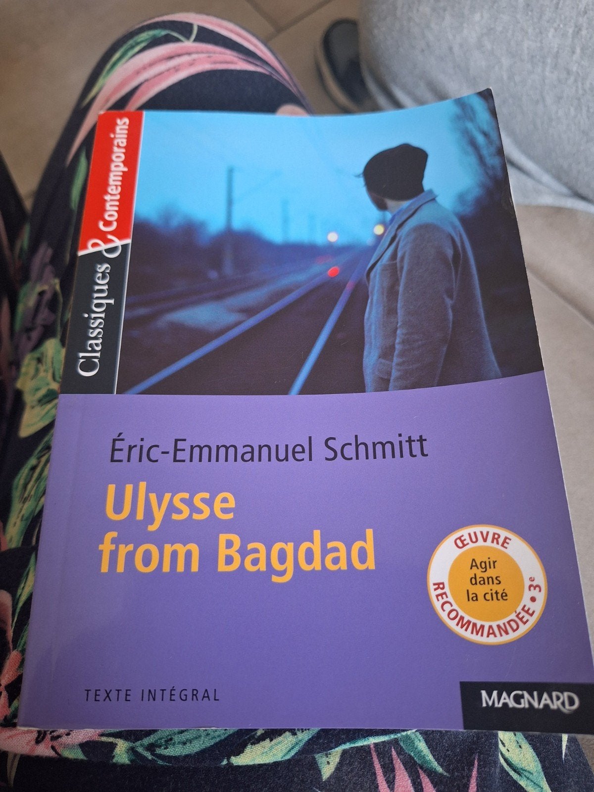 livre Ulysse from bagdad, Livres, Enlèvement