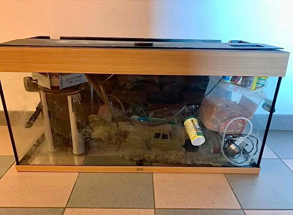 Aquarium 180 litres + filtre extérieur et décoration, Enlèvement, Utilisé