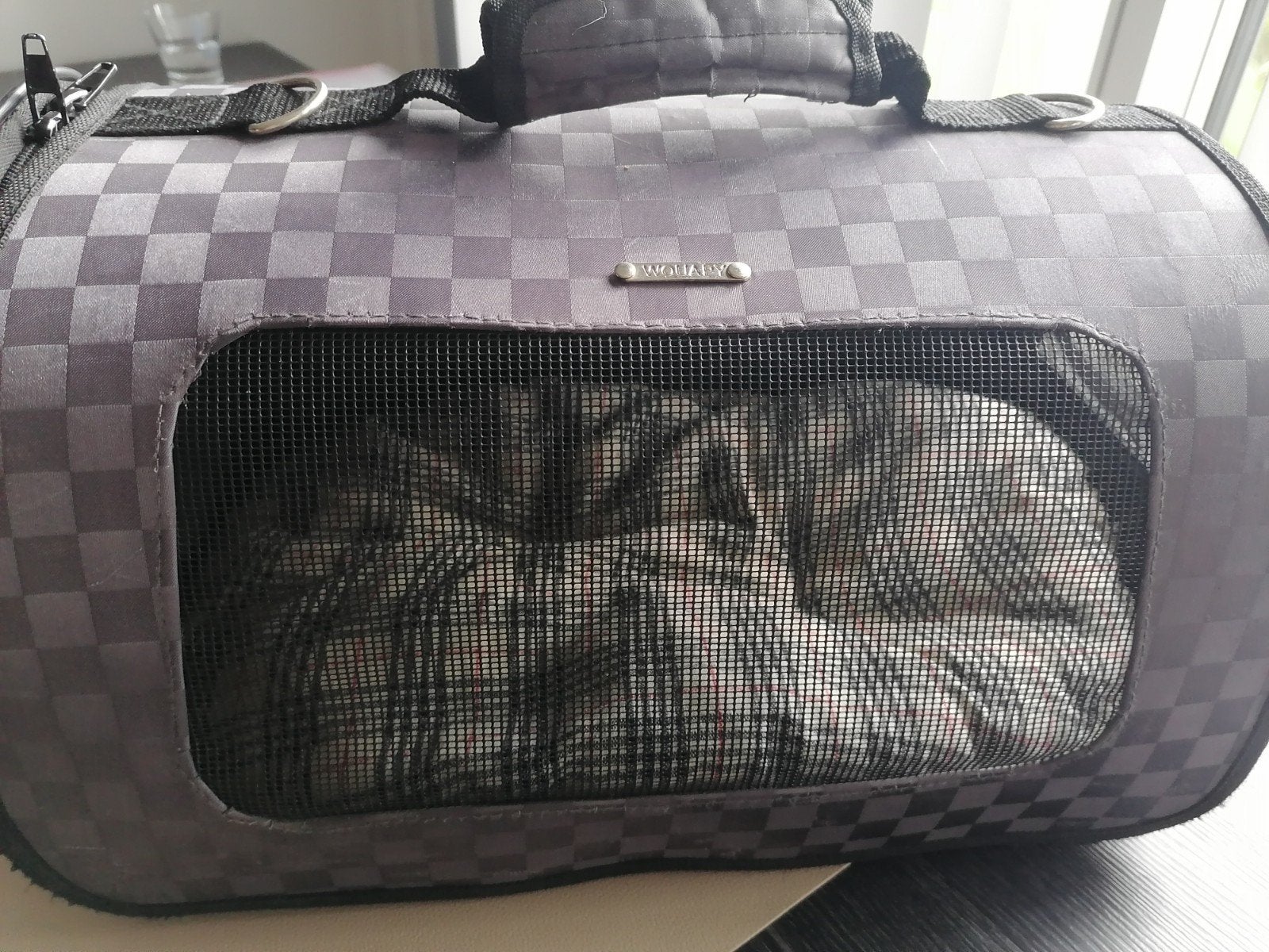 hondenreistas, Overige merken, Ophalen, Gebruikt, Draagtas/-zak