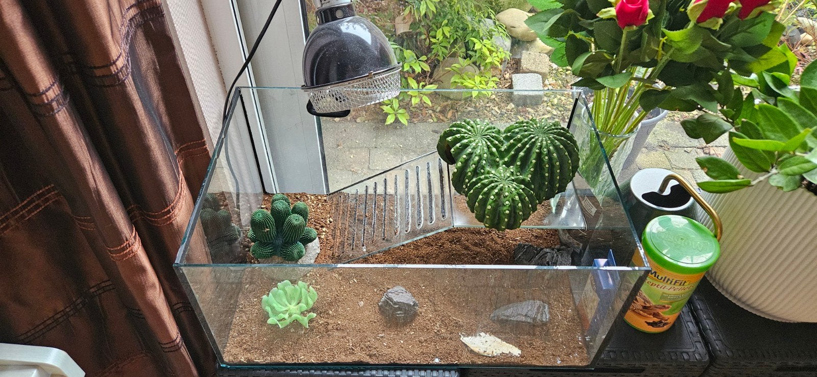 Open terrarium + extra's, Dieren en Toebehoren, Ophalen, Terrarium of Paludarium